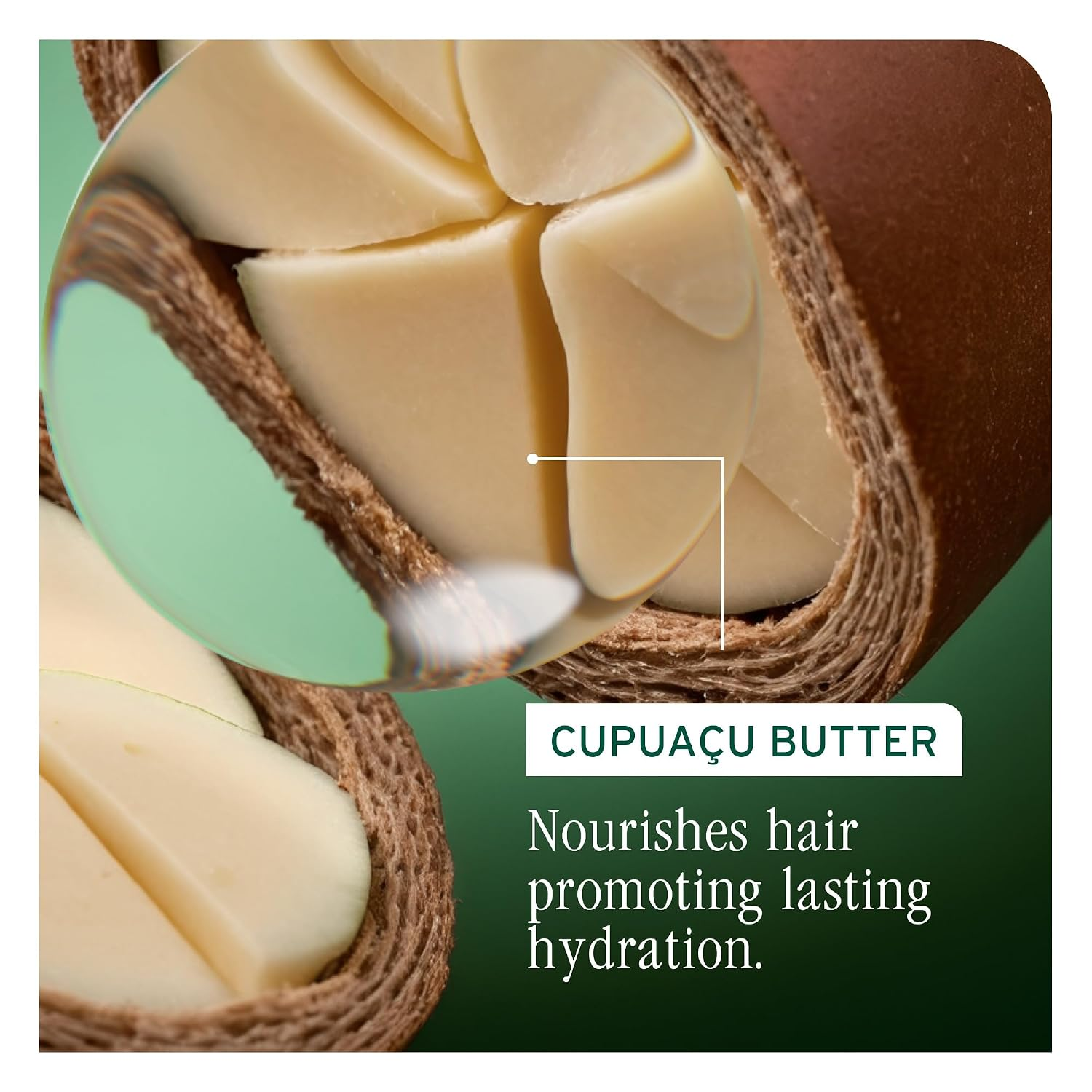 Biolage Ultra Hydra Source Conditioner – for Very Dry Hair - Image 5